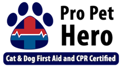 CPR